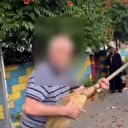Başıboş sokak köpeklerini besleyen kadın mahalleli ile kavga etti