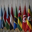 Congo: sommet africain sur le reboisement