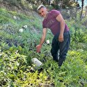 Kavurucu sıcağa karşı çözümü böyle buldu: Hepsine tek tek bunu yaptı