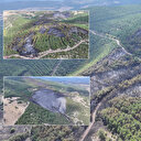 Tokat orman yangınında tahribat büyük: Altı saatte söndürüldü