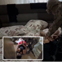 Elazığ'da organize suç örgütü 'Kuyu' operasyonuyla çökertildi