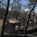 Grèce: un tiers des forêts de l'Attique détruit par les incendies depuis 2017 