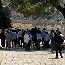 Rusya'dan İsrailli Bakan Ben-Gvir ve fanatik Yahudilerin Mescid-i Aksa baskınına tepki: Bu kışkırtıcı eyleminden son derece endişeliyiz