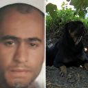 İstanbul'da başıboş sokak köpeği terörü! 15 köpeğin saldırısına uğrayan bir kişi hayatını kaybetti: Boğazını parçaladılar