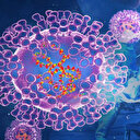 Maymun çiçeği görülen ülke sayısı artıyor! Mpox virüsü kıtaları dolaşıyor: En son oraya da sıçradı