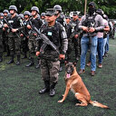 Honduras: 5.000 policiers et militaires déployés contre le crime organisé