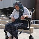 Başıboş köpeklerin saldırısına uğrayan yaşlı kadın dehşeti yaşadı