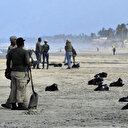 Venezuela: "marée noire" sur les côtes touristiques du nord-ouest