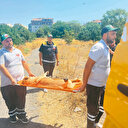 Köpekler İstanbul’un ortasında parçaladı