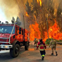 Portugal: Incendie à Madère, 4 400 hectares ravagés en une semaine