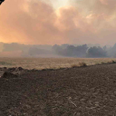 Türkiye'ye sıçramaması için ekipler harekete geçti: Bulgaristan sınırında çıkan yangın Edirne'nin köylerine ilerliyor