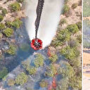 Bergama'daki orman yangını kontrol altında: Soğutma çalışmaları sürüyor