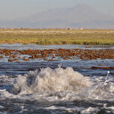 Bir fışkırıyor bir kayboluyor: Tuz Gölü'nde korkutan olay için açıklama geldi