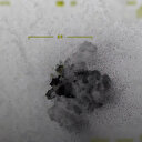 PKK’ya iki bölgede ağır darbe: 11 terörist etkisiz