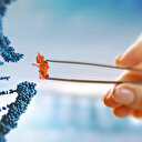 'Genetik'te büyük ilerleme: 8 bin hastalığı tanımlıyoruz