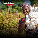 Production cotonnière en Afrique: Le Mali détrône le Bénin