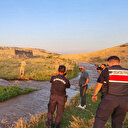Narin'i arama çalışmalarının 8'inci gününde devam ediyor: Bir şüpheli gözaltına alındı 