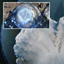 Uzmanlar uyarıyor: Karadeniz'deki 'Rhizostoma' tehlikesine karşı dikkat