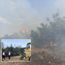 Eskişehir'de ormanlık alanda çıkan yangın kontrol altına alındı