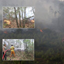 Yalova'da ormanlık alanda çıkan yangını kontrol altına alındı: Bölgede soğutma çalışmaları sürüyor