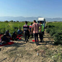 Manisa'da kahreden kaza: Tarlada uyuyan 6 yaşındaki çocuğu öldürdü