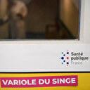 OMS: la variole du singe, une urgence de santé publique ?