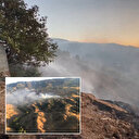 Bingöl'deki korkutan orman yangını kontrol altına alındı