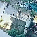 Zincirini koparan köpek dehşet saçtı 