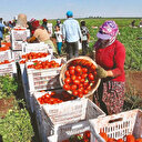Alımda fiyat düşürene ağır ceza