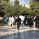 Filistin topraklarını gasbeden İsrailliler Mescid-i Aksa'ya baskın düzenledi