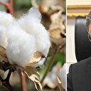 Bakan Yumaklı duyurdu: Söke pamuğu AB'den coğrafi işaret tescili aldı