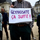 Glyphosate autorisé jusqu'en 2033: La justice de l'UE saisie