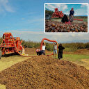 Gençlerin yeni gelir kapısı oldu: Saatlik ücreti 3 bin ila 3 bin 500 lira arasında değişiyor 