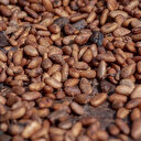 Le Ghana, deuxième producteur mondial de cacao, augmente de 45% le prix des fèves