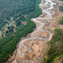 Brésil demande à l'UE de reporter sa loi anti-déforestation