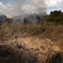 Missile tiré depuis le Yemen: 9 Israéliens blessés dans une bousculade en direction des abris