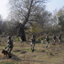 Les forces de sécurité turques neutralisent trois terroristes dans le nord de l'Irak et de la Syrie