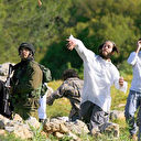 Palestine occupée: des colons israéliens attaquent une école palestinienne