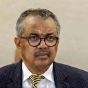 Tedros: les tirs de tanks israéliens sur un convoi dirigé par l'OMS à Gaza sont "inacceptables"