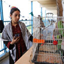 La vie quotidienne à Gaza sous les attaques israéliennes