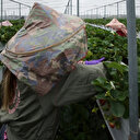 La Chine met fin aux exemptions tarifaires sur les produits agricoles, Taiwan parle d'"arme commerciale"