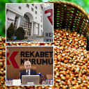 Rekabet Kurumu fındık üreticilerini uyardı: Yakından takip ediyoruz
