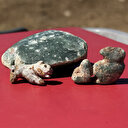 Sefertepe'de gün yüzüne çıkarıldı: 10 bin yıl öncesine ait