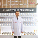 Tohum seferberliği: Yasak yok teşvik var