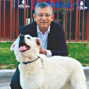 Bütçe var ama kullanmıyorlar