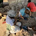 Antalya'da şaşırtıcı keşif: Türkiye'de ilk kez rastlandı! Çok özel bulgulara ulaştık