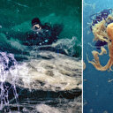 Marmara Denizi alarm veriyor: Yedi hafta içinde her yere yayıldı