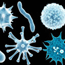 چائنہ میں پھیلنے والا ہیومن میٹا نیومو وائرس کیا ہے؟