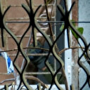 Perdeyi açan İsrail askeri havaya uçtu