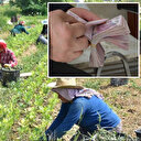 Bakanlık duyurdu: Mevsimlik tarım işçileri için 25 milyon lira kaynak ayrıldı